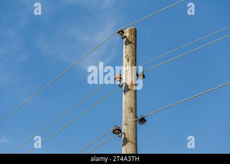 Poteau électrique en bois et câbles électriques en métal. Banque D'Images