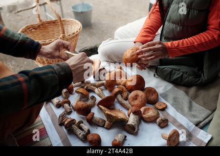 mains de jeunes couples interculturels triant une variété de champignons frais sur une serviette assis les uns devant les autres dans un van de voyage Banque D'Images