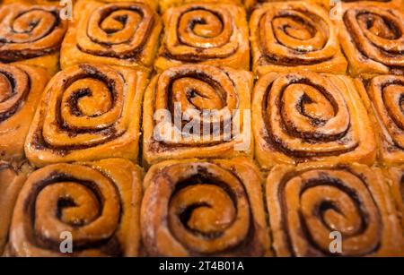 Stuttgart, Allemagne. 28 octobre 2023. Des brioches à la cannelle sont disponibles à la boutique Cinnamood récemment ouverte dans le centre-ville de Stuttgart. La start-up Cinnamon Bun possède également des succursales à Berlin, Munich et Cologne. Crédit : Christoph Schmidt/dpa/Alamy Live News Banque D'Images