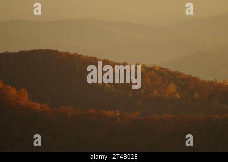 Le lever du soleil donne aux arbres de couleur automne une lueur dorée dans le parc national de Shenandoah. Banque D'Images