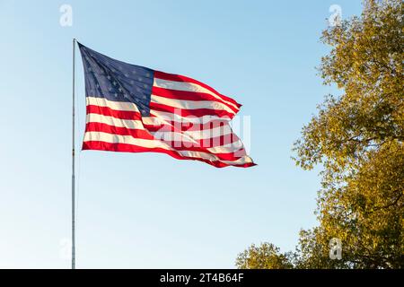 Agitant des drapeaux américains sur Flagpole sur fond de ciel bleu, arbre vert, plan horizontal de modèle Banque D'Images