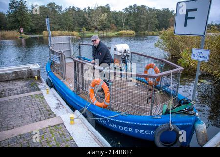 Stolpe, Allemagne. 26 octobre 2023. Ferryman Ulf Radicke prépare le petit ferry pour passagers à travers la Peene pour un voyage. De mars à octobre, les randonneurs ou les cyclistes peuvent traverser les près de 100 mètres de l'autre côté de la rivière. Cependant, la saison qui touche à sa fin pourrait être sa dernière - le seul ferry piétonnier entre Anklam et Jarmen est menacé de fermeture en raison du manque de soutien financier du quartier. La communauté a donc lancé une campagne pour sauver le ferry. Maintenant, 2 000 signatures seront recueillies jusqu'à la réunion du conseil de district à la mi-novembre crédit : dpa/Alamy Live News Banque D'Images