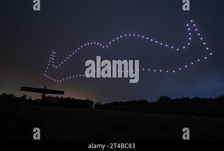 EDITORIAL UTILISEZ SEULEMENT Une vue de 100 drones dans une formation « Mo » devant l'Ange du Nord à Newcastle pour célébrer le 20e anniversaire de l'association caritative mondiale pour la santé masculine, Movember. Date de parution : lundi 30 octobre 2023. Banque D'Images