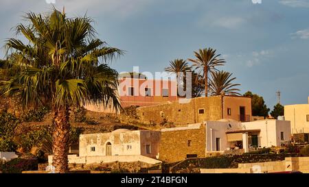 Maisons dans la lumière du soir, palmiers, Khamma Fuori, Pantelleria, îles pélagiques, Sicile, Italie Banque D'Images