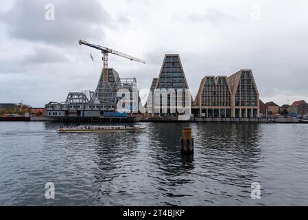 Nouveaux immeubles d'appartements, grand chantier de construction sur l'île Christiansholm, Copenhague, Danemark Banque D'Images