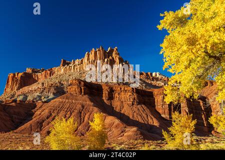 Ceci est une vue du château, un point de repère familier dans le parc national de Capitol Reef, comté de Wayne, Utah, États-Unis avec des couleurs d'automne sur les arbres de coton. Banque D'Images