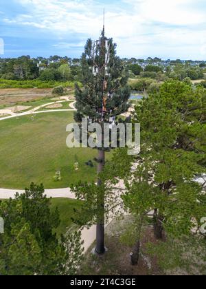 Vue aérienne d'une antenne relais de téléphone portable camouflée en faux arbre (France). Mât de téléphone portable déguisé en pin. Banque D'Images
