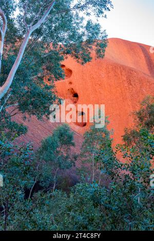 Gros plan de l'extrémité est d'Uluru (Ayers Rock) et de ses nids-de-poule érodés par l'eau, dans le territoire du Nord, en Australie, à la lumière du matin Banque D'Images