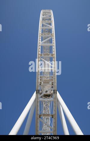 Émirats arabes Unis, Dubaï, 8 décembre 2018. AIN DUBAI, également connu sous le nom de Dubai Eye, grande roue s'élevant à 250 mètres, en construction, vue verticale Banque D'Images