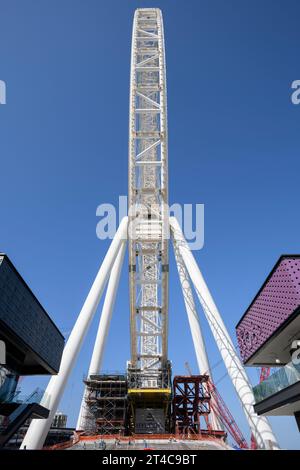 Émirats arabes Unis, Dubaï, 8 décembre 2018. AIN DUBAI, également connu sous le nom de Dubai Eye, grande roue s'élevant à 250 mètres, en construction, vue verticale Banque D'Images