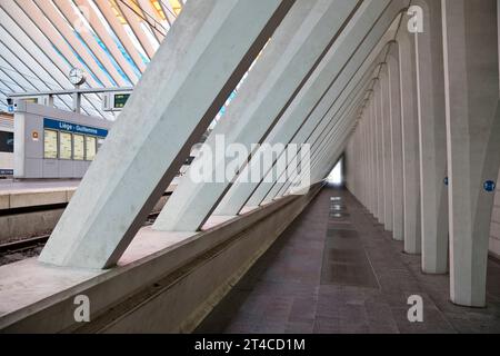 Gare de Liège-Guillemins, allée dans la gare, Belgique, Wallonie, Luettich Banque D'Images