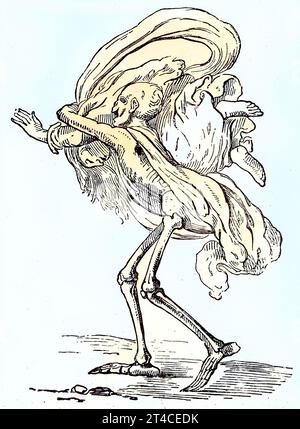 Digital restauriert, Der Tod, Skelett und die lebenslustige Nonne, Der Tod wirbelt die Frau durch die Luft, Veröffentlichung aus dem Jahr 1882 / numérique amélioré : la mort, le squelette et la nonne amoureuse de la vie, la mort tourbillonne la femme dans les airs, publication de l'année 1882 Banque D'Images