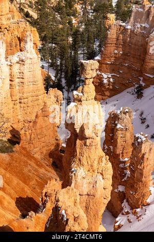 Thor's Hammer, un hoodoo en pierre de boue sous Sunset point dans le parc national de Bryce Canyon dans l'Utah. Banque D'Images