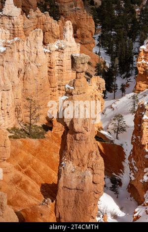 Thor's Hammer, un hoodoo en pierre de boue sous Sunset point dans le parc national de Bryce Canyon dans l'Utah. Banque D'Images