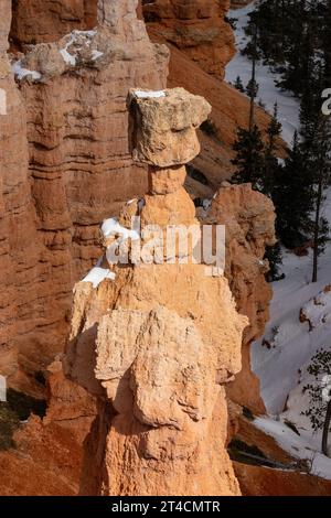 Thor's Hammer, un hoodoo en pierre de boue sous Sunset point dans le parc national de Bryce Canyon dans l'Utah. Banque D'Images