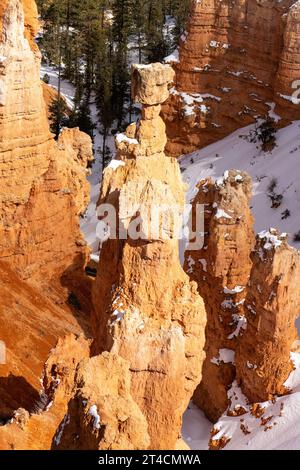 Thor's Hammer, un hoodoo en pierre de boue sous Sunset point dans le parc national de Bryce Canyon dans l'Utah. Banque D'Images