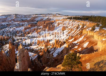 Lever du soleil sur un amphithéâtre enneigé de Bryce au lever du soleil depuis Sunrise point dans le parc national de Bryce Canyon, Utah. Banque D'Images