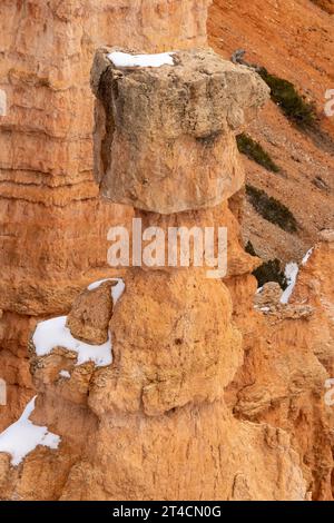 Thor's Hammer, un hoodoo en pierre de boue sous Sunset point dans le parc national de Bryce Canyon dans l'Utah. Banque D'Images