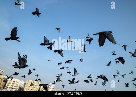 Dubai Creek River Departure Pier, extérieur du bâtiment, foule de Pigeon Flying, personnes voyageant avec une scène de bateau à Dubaï Émirats arabes Unis. Banque D'Images
