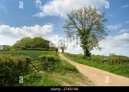 Piste de campagne et porte de ferme près d'Ilmington, Cotswolds, Angleterre Banque D'Images