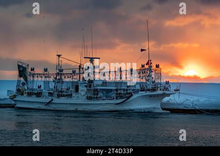 Bateau de pêche japonais dans le port de Rausu, Hokkaido, Japon Banque D'Images