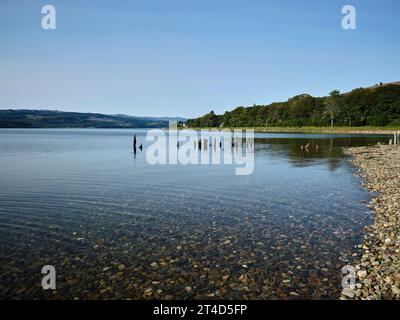 Avec les restes d'une jetée en bois autrefois active, une vue sur Inveraray sur le Loch Fyne depuis la baie de Strachur Banque D'Images