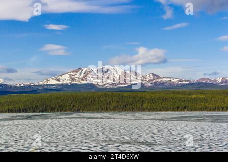 Fox Lake, sur le fleuve Yukon, au Yukon, au Canada, commence tout juste à dégeler au cours de la dernière semaine de mai. Il est encore la plupart du temps gelé. Banque D'Images