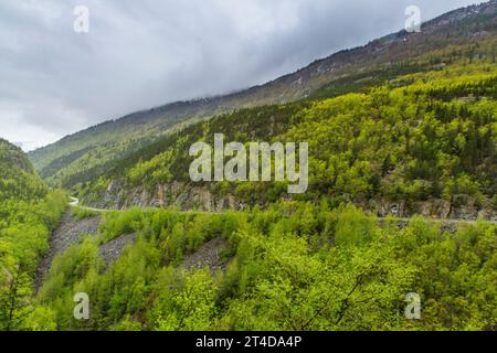 Route du Klondike dans le territoire du Yukon du Canada. Banque D'Images