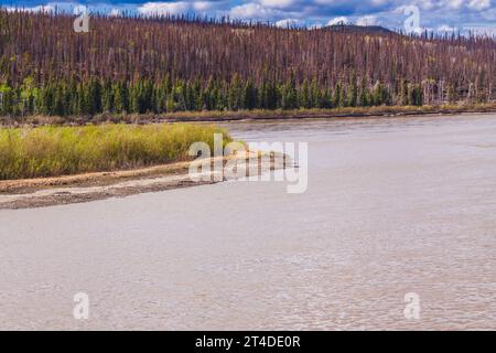 Fleuve Yukon dans le territoire du Yukon, Canada. Banque D'Images