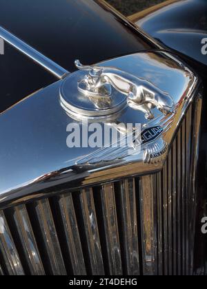 Détails des voitures britanniques classiques lors d'un récent rassemblement dans le New Jersey. Banque D'Images