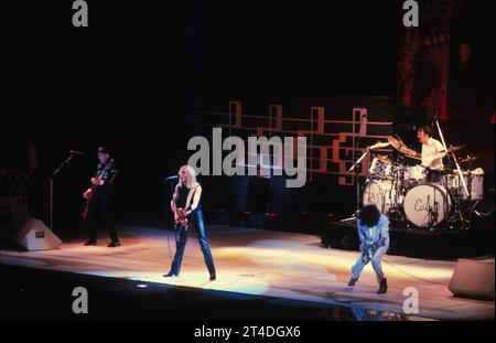 CHEAP TRICK ; groupe de rock américain ; RICK NIELSON - guitariste principal ; ROBIN ZANDER, TOM PETERSSON ET BUN E CARLOS ; 1981 ; crédit : Lynn McAfee / Performing Arts Images www.performingartsimages.com Banque D'Images