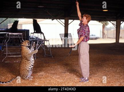 JULIET PROWSE ; 25 septembre 1936 - 14 septembre 1996 ; danseuse et actrice anglo-américaine dont la carrière de quatre décennies inclut scène, télévision et film Training Animals in Circus ; 1987 ; crédit : Lynn McAfee / Performing Arts Images www.performingartsimages.com Banque D'Images