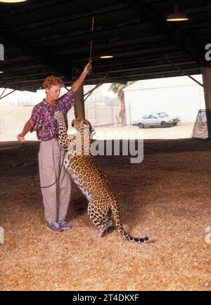 JULIET PROWSE ; 25 septembre 1936 - 14 septembre 1996 ; danseuse et actrice anglo-américaine dont la carrière de quatre décennies inclut scène, télévision et film Training Animals in Circus ; 1987 ; crédit : Lynn McAfee / Performing Arts Images www.performingartsimages.com Banque D'Images