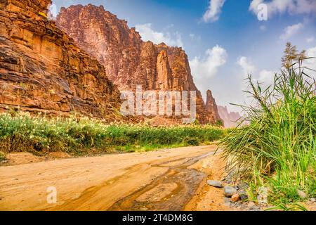 Oasis de Wadi Disah en Arabie Saoudite Banque D'Images