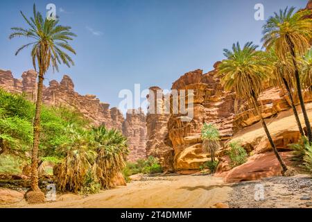 Oasis de Wadi Disah en Arabie Saoudite Banque D'Images