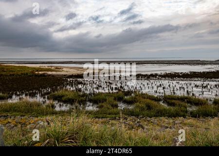 Naturschutzgebiet mit Buhnen an der Nordsee. das Ende des Naturstrandes ist links im Bild zu sehen Banque D'Images