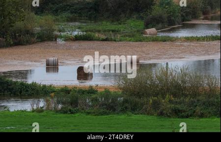 Moira, comté de Down, Irlande du Nord, Royaume-Uni. 30 octobre 2023. Météo britannique - déjà au-dessus de ses rives, la rivière Lagan s'est élevée après plus de fortes pluies pendant la nuit. Les terres agricoles environnantes dans la vallée de Lagan sont sous l'eau substantielle pour cette période de l'année et les niveaux resteront élevés avec de nouveaux avertissements de pluie en place d'ici vendredi à mesure qu'un nouveau front de tempête arrivera. Crédit : CAZIMB/Alay Live News. Banque D'Images