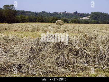 Couper le champ de foin avec une balle de foin, Italie Banque D'Images