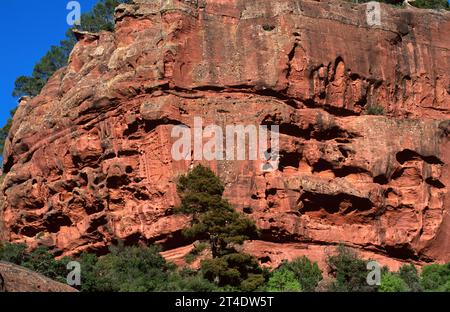 Grès rouge de Buntsandstein (Trias) avec taffoni. Siurana, province de Tarragone, Catalogne, Espagne. Banque D'Images