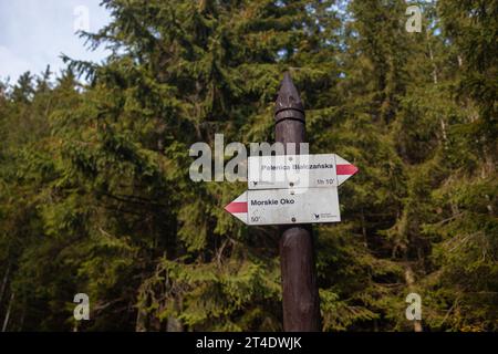 Morskie oko, Pologne. Marqueur de sentier dans les Hautes Tatras en Pologne Banque D'Images