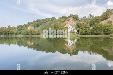 Paysage avec des maisons traditionnelles et des vignes en terrasses sur la rive droite du Neckar près de Meunster. Tourné dans la lumière d'été brillante à Stuttgart, Baden W Banque D'Images