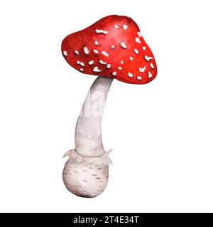 Motif de dessin animé avec agaric de mouche rouge sur fond blanc. Champignon élégant pour l'impression sur oreillers, T-shirts, acheteurs, bannières, tasses. Banque D'Images