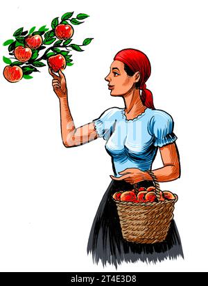 Femme cueillant des pommes de l'arbre. Illustration dessinée à la main Banque D'Images