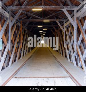 Vaduz, liechtenstein - intérieur du dernier pont en bois sur le Rhin Banque D'Images