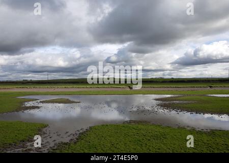 Terrain inondé et gorgé d'eau Becconsall hors du marais regardant vers la rivière Douglas à Hesketh Bank Lancashire Angleterre Banque D'Images