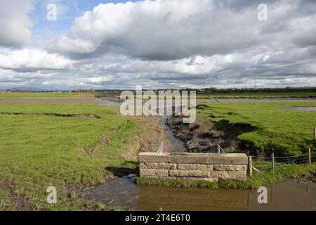 Terrain inondé et gorgé d'eau Becconsall hors du marais regardant vers la rivière Douglas à Hesketh Bank Lancashire Angleterre Banque D'Images