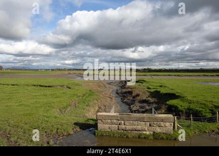 Terrain inondé et gorgé d'eau Becconsall hors du marais regardant vers la rivière Douglas à Hesketh Bank Lancashire Angleterre Banque D'Images