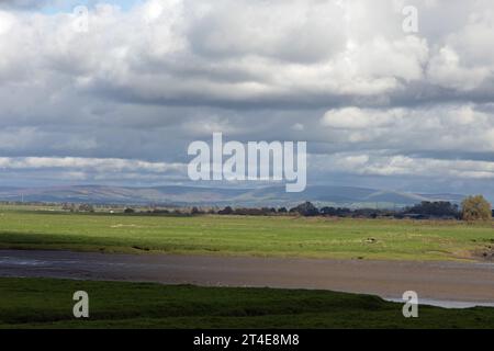 Terrain inondé et gorgé d'eau Becconsall hors du marais regardant vers la rivière Douglas à Hesketh Bank Lancashire Angleterre Banque D'Images