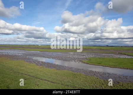 Marais gorgé d'eau par la rivière Douglas avec une vue lointaine sur le Bleasdale Fells Hesketh Bank Lancashire Angleterre Banque D'Images