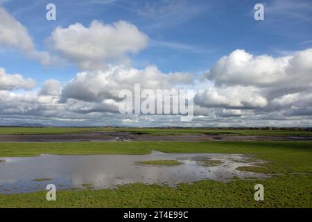 Champ gorgé d'eau et marais sur les rives de la rivière Douglas à Hesketh Bank Lancashire Angleterre Banque D'Images